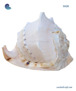 Wholesale Horned Helmet Shells