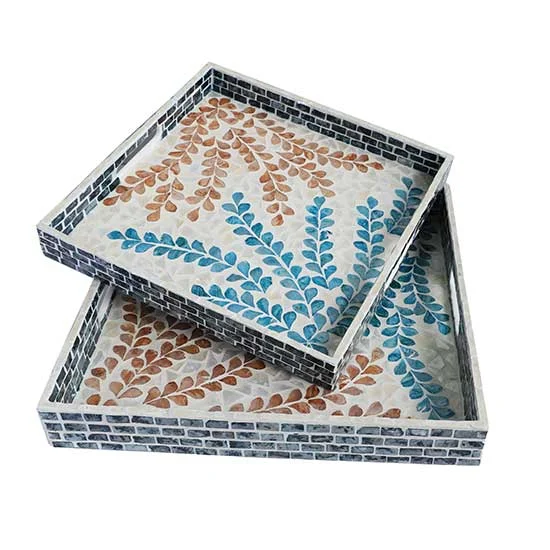 seashe-box