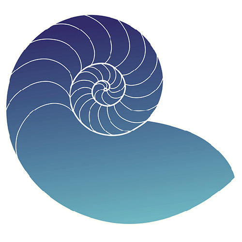 Seashell Craft